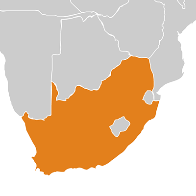 south africa